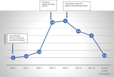 Case Report: Vancomycin-Associated Tubulointerstitial Nephritis in Clinical Practice-Case Report and Review of Literature